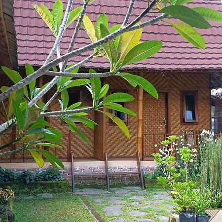 Mysha Guest House-Lombok Tetebatu Eksteriør billede