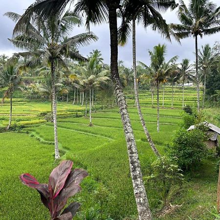 Mysha Guest House-Lombok Tetebatu Eksteriør billede