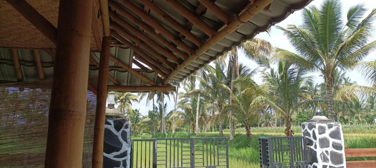 Mysha Guest House-Lombok Tetebatu Eksteriør billede