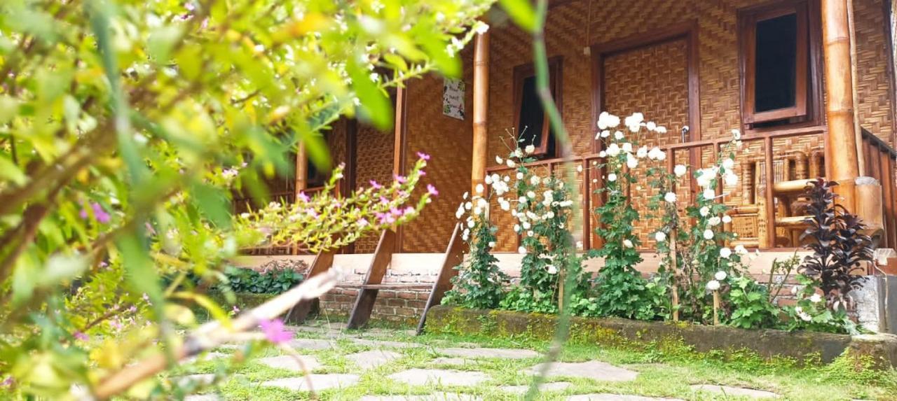 Mysha Guest House-Lombok Tetebatu Eksteriør billede