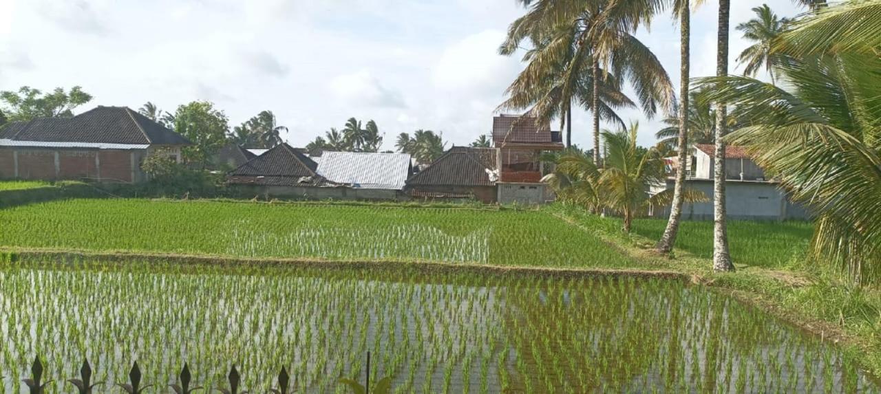 Mysha Guest House-Lombok Tetebatu Eksteriør billede