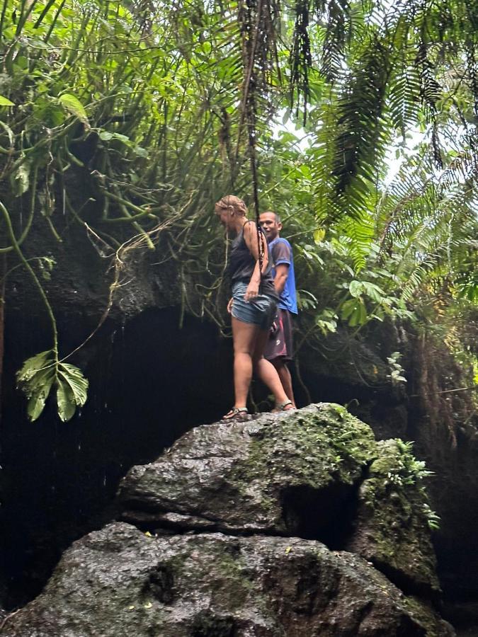 Mysha Guest House-Lombok Tetebatu Eksteriør billede
