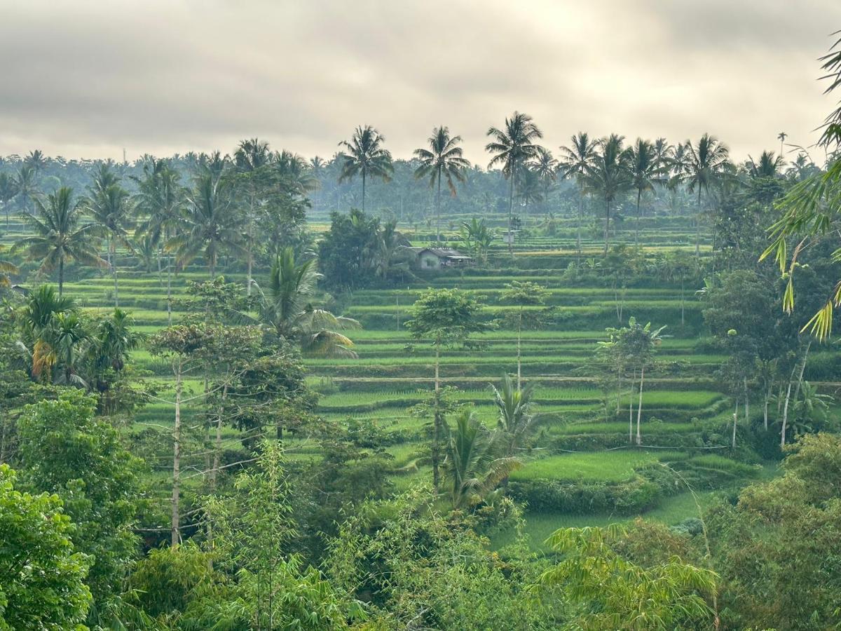 Mysha Guest House-Lombok Tetebatu Eksteriør billede